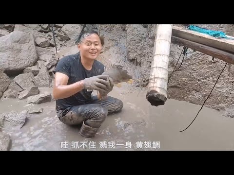 【阿向趕海】面積半畝的」天王坑」 抽乾遍地是300一斤靚貨 魚貨賣了1330 賺翻