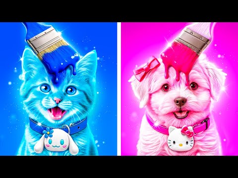 Nous Construisons une Pièce Secrète pour Animaux de Compagnie dans un Défi Coloré!