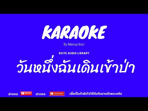 วันหนึ่งฉันเดินเข้าป่า : คาราโอเกะ [ MIDI KARAOKE & COVER KARAOKE ]