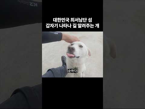 대한민국 최서남단 섬 갑자기 나타나 길 알려주는 개