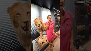 اشتريت أسد حقيقي 🦁