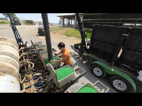 Planting Soybeans & New Dry Cow Fans