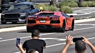 Top Moments from Orlando Cars and Coffee August 2025 | Car Show Exits - Coffee and Cars