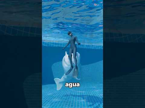 Rescatada Por Una Ballena Beluga 😱