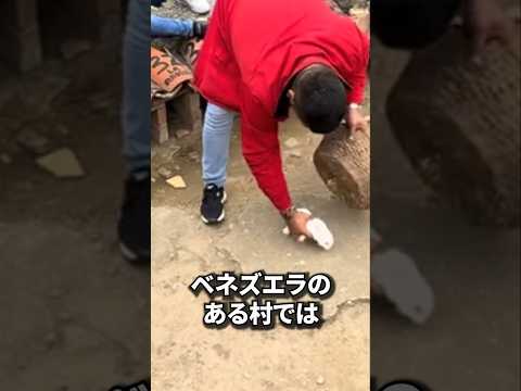動物をこんなにしてもいいですか？？