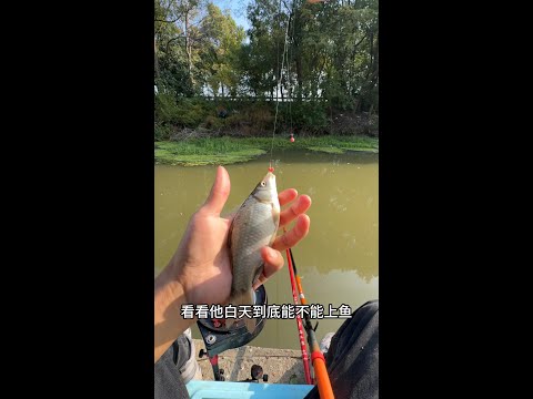 跟我学习野外钓鱼技术吧Learn wild fishing skills with me #fishing #fish #钓鱼 #野外钓鱼 #户外钓鱼 #钓鱼技术 #farming #fishtrip