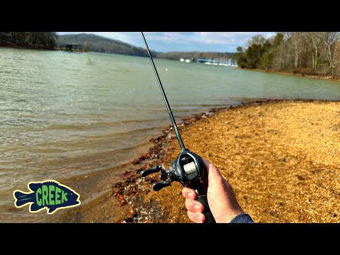 Rooster Tail for Yellow Bass Every Cast