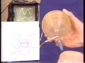 Magnetic Fields and Coil Properties