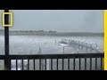 Tornado Reactions and Safety Measures