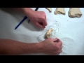 Exploring Topographic Maps and Elevation Layers