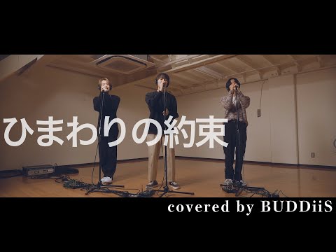 【歌ってみた】ひまわりの約束／秦基博 cover ver.｜BUDDiiS