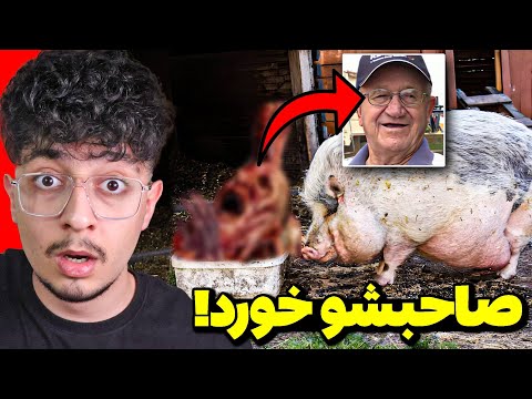 3 داستان عجیب که بنظر فیک میان ولی 100% واقعیت دارن!😱اتفاقات عجیب در دنیا