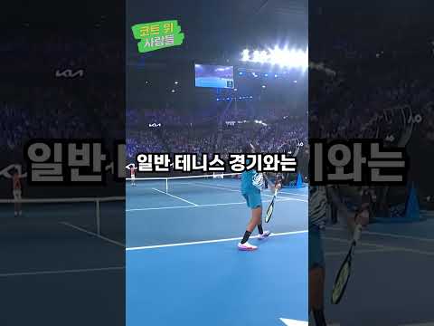 룰을 혼동하고 멍때리는 조코비치 | 코트 위 사람들 #shorts #스포츠 #테니스 #코위사 #조코비치 #테니스썰러