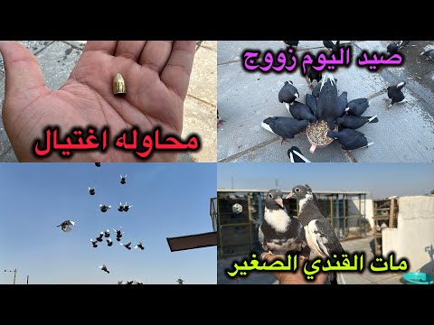 لكيت زوج غربه بسطح😍هاي طلقه منين😱صيد 2 طيور❤️❤️❤️❤️