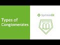 Conglomerates and Vertical Integration Concepts