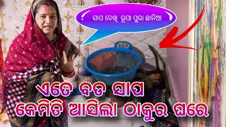 ଏତେ ବଡ଼ ସାପ କେମିତି ଆସିଲା ଠାକୁର ଘରେ / Rupa Pin2 Khushi 