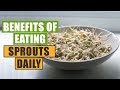 Benefits and Effects of Sprouting