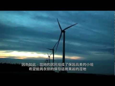 生態短片：高美溼地 - YouTube