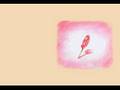 Reflections on Companionship and Dreams