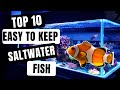 Choosing Fish for Saltwater Aquariums