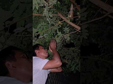 Gagal kurang fokus 😱 #shortvideo