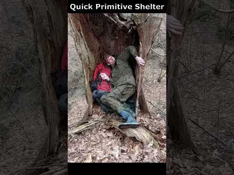 Quick Primitive Shelter 🏕🔥👍 Bushcraft Survival #bushcraft #survival #camping #outdoors #shelter