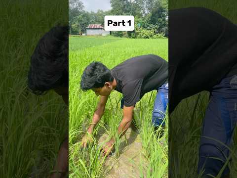 mini vlog