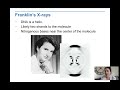 DNA Structure and Function Concepts