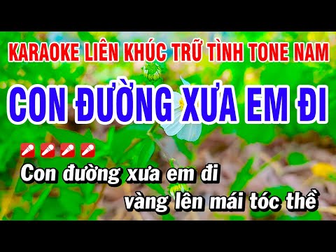 Karaoke Liên Khúc Trữ Tình Nhạc Sống Tone Nam Dễ Hát – Con Đường Xưa Em Đi | Hoài Phong Organ