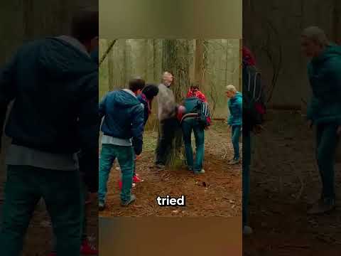Trapped by Time - His Last words #movie #film #hindirecap