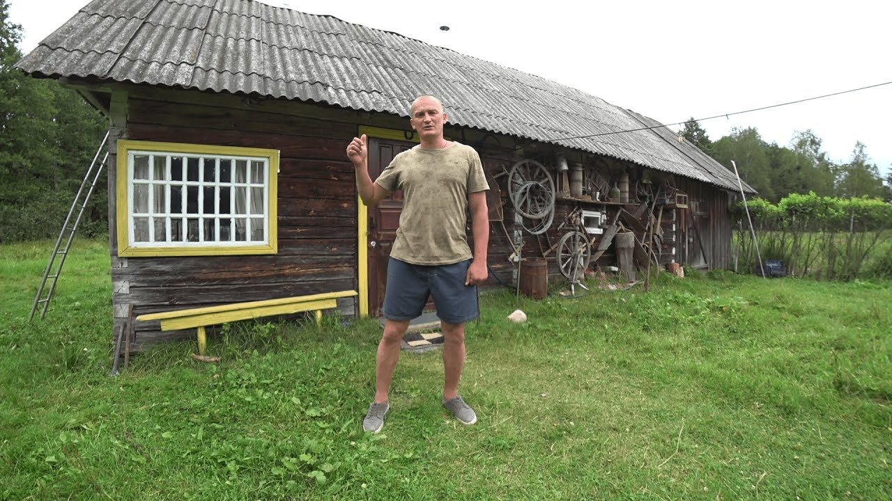 Оставил город, уехал в лес, живу один. Корма хватит всем! 274