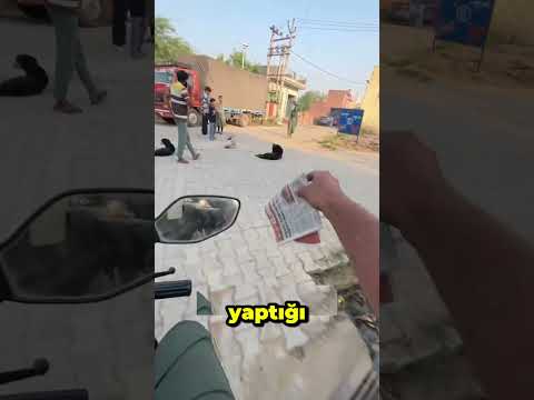 Mahallenin Keskin Nişancı Gazetecisi! 🎯😳