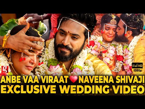 Anbe Vaa Viraat Weds💞Naveena Shivaji🥰தாலி கட்டி முத்தம் கொடுத்த Viraat😘 Exclusive wedding Full Video