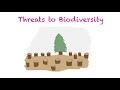 Ecological Concepts and Species Impact