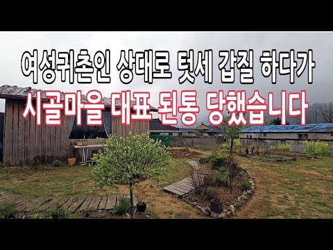 참았던 여성귀촌인 마을이장과 대표들을 보기좋게 뭉개 버렸습니다