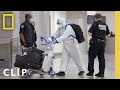 Customs Inspections and Suspicious Items