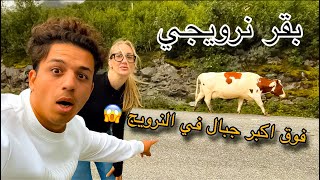 رحلتي من فنلندا للنرويج 🇳🇴(ج2) شاهد الاحداث الي صارت ويانه في طريق 😱#علي_و_مينا