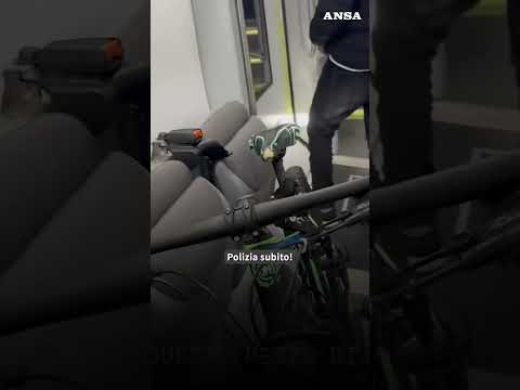 Modella aggredita su un treno regionale, denunciato un 26enne #ansa #news