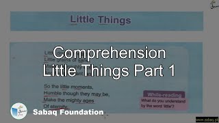 Comprehension Little Things Part 1