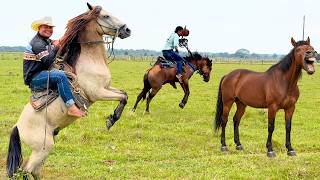 EL difícil trabajo de amansar CABALLOS en el LLANO