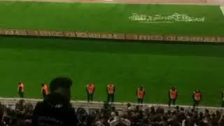 Kasımpaşa - Beşiktaş |  Bu akşam yüzümüzü güldür BEŞiKTAŞ