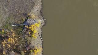 Yukon River Poem