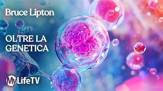Come l'ambiente influenza i nostri geni | Bruce Lipton