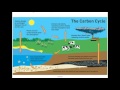 Nutrient Cycles and Water Cycle