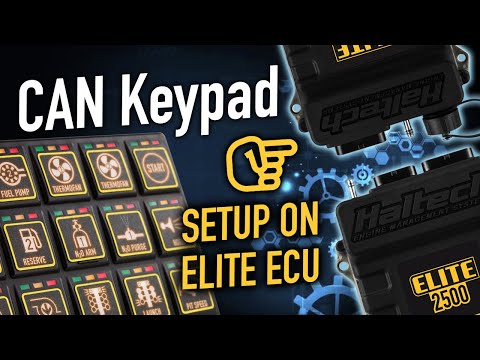 How to set up a CAN Keypad with Elite ECU | TECHNICALLY SPEAKING
