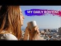 Daily Routine and Study Habits