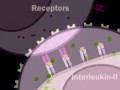 Understanding the Humoral Immune Response
