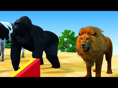 Lion, gorilla, cow, elephant, sheep slide. Funny Animals Animation