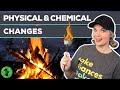 Exploring Physical and Chemical Changes