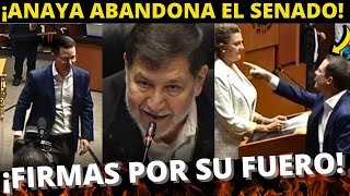AHORITA! ¡Anaya abandona el Pleno tras discusión con Noroña!